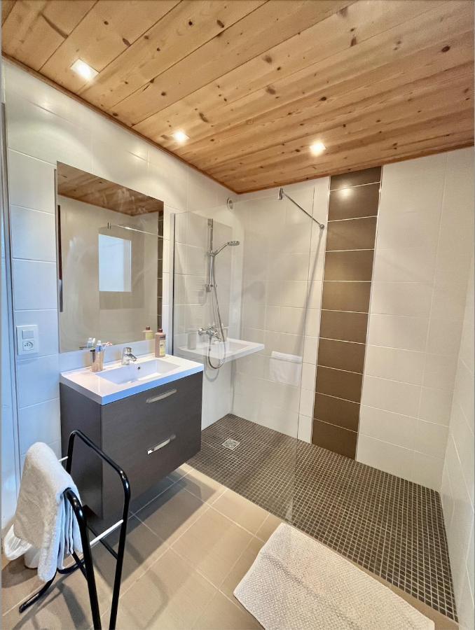 Residences Delavay La Cordee 莱热 外观 照片