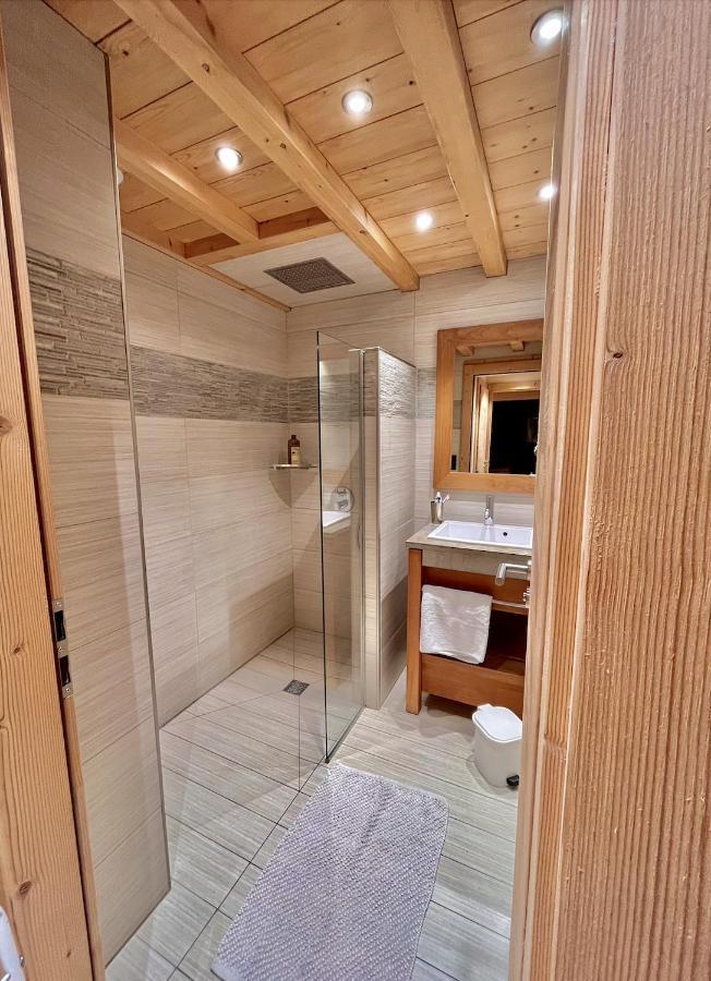 Residences Delavay La Cordee 莱热 外观 照片